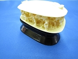 Figural Ivory Clam